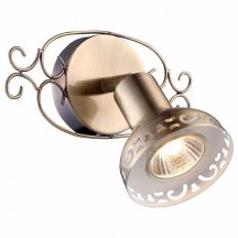 Настенно-потолочный светильник Arte Lamp Focus A5219AP-1AB