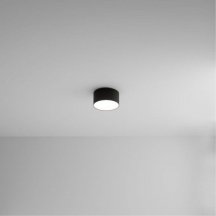 Потолочный светильник Arte Lamp Fado A6612PL-1BK