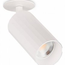 Точечный светильник для гостиной Simple Story  2064-1DLW
