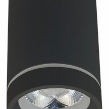 Потолочный светильник для коридора aployt  aPL.0054.19.10