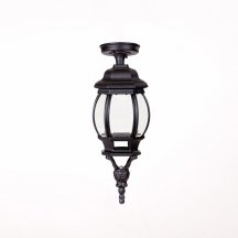 Потолочный светильник уличный Oasis Light AMERICA S 83405SA Bl