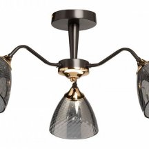 Потолочная люстра De City Альфа 115010303