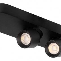 Спот Loft IT Quiet 10320/2 Black