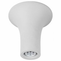 Потолочный светильник Arte Lamp A9461PL-1WH