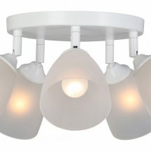 Потолочная люстра Vitaluce V4355-0/5PL