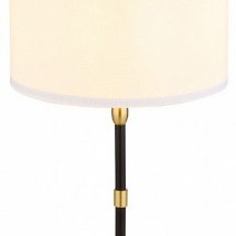 Интерьерная настольная лампа Arte Lamp Jamie A4090LT-1BK