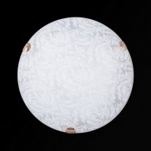 Настенно-потолочный светильник Sneha Перья мат (300) НПБ 01-2х60-001