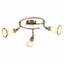 Потолочный светильник Arte Lamp 81 A9231PL-3AB
