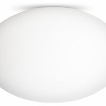 Настенно-потолочный светильник Citilux Ron CL941E28