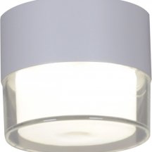 Потолочный светодиодный светильник Reluce 81155-9.5-001MN LED7W WT