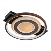 Потолочный светильник Labrea 4699-1C