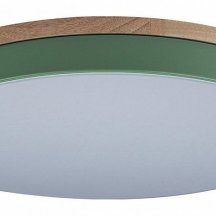 Потолочный светильник Loft IT Axel 10001/36 Green