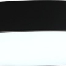 Потолочный светильник Zortes Tortty ZRS.02563.96