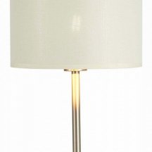 Настольная лампа декоративная EVOLUCE Brescia SLE300554-01
