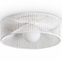 Накладной светильник Freya Cottage FR5405CL-01W