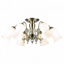 Потолочная люстра Lussole Anaheim GRLSP-8026