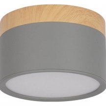 Накладной светодиодный светильник Loft IT Grape 10162 Grey