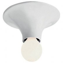Настенно-потолочный светильник Artemide Teti A048120