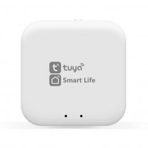 Wi-Fi конвертер управления светильниками для системы освещения Ambrella Light TRACK SYSTEM GL1920