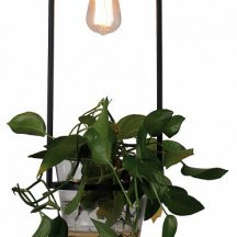 Подвесной светильник Favourite Situla 1975-1P