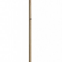 Торшер Kinsley FR5533FL-01BS