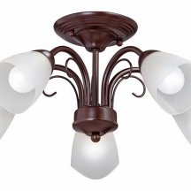 Потолочная люстра Vitaluce V3878-7/5PL