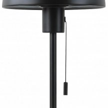 Настольная лампа декоративная Moderli Aspen V11320-1T