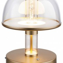 Интерьерная настольная лампа Favourite Flaska 4313-1T