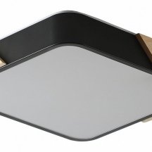 Потолочный светильник Zortes Alberro ZRS.01281.60