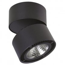 Спот итальянского производства Lightstar FORTE MURO 213857
