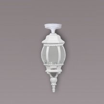 Потолочный светильник уличный Oasis Light AMERICA S 83405SA W