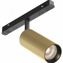 Трековый светильник Maytoni Artisan TR097-2-12W4K-M-BMG