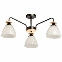 Потолочная люстра De City Дэла 635018003