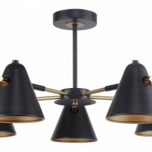 Потолочная люстра F-Promo Rigor 2844-5P