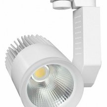 Потолочный светильник в гостиную Elektrostandard  4690389112256