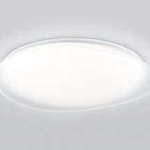 Потолочный светильник Orbital FZ1615