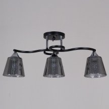 Потолочная люстра Reluce 06089-0.3-03 BK+CR