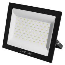 Прожектор уличный Luminarte LFL-100W/06
