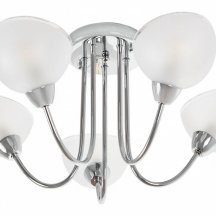 Потолочная люстра MyFar Ekaterina MR1291-5C