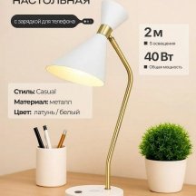 Интерьерная настольная лампа Zortes Desklight ZRS.1066.05