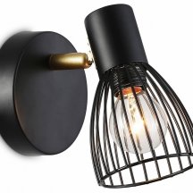 Настенно-потолочный спот Ambrella light TRADITIONAL TR8659