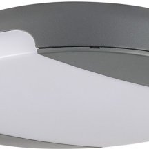 Потолочный светильник уличный Oasis Light SIDNEY LED W3034 Gr