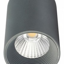 Точечный светильник Escada 20003 20003SMU/01LED SGY