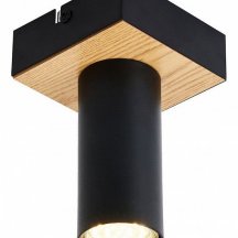 Накладной светильник F-promo Olson 4431-1C