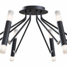 Потолочная люстра Maytoni Modern MOD620CL-16B