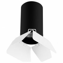 Потолочный светильник Lightstar Rullo (214437+202436) R437436 (Италия)