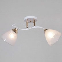 Потолочная люстра Reluce 64460-0.3-02 WH+FG