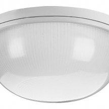 Накладной светильник Wolta  ДПБ03-100-001