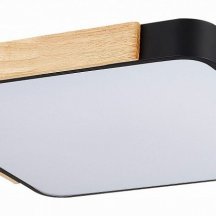 Потолочный светильник Evoluce Festa SLE201242-01