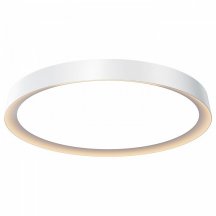 Потолочный светильник Maytoni Incognito MOD426CL-L43WK